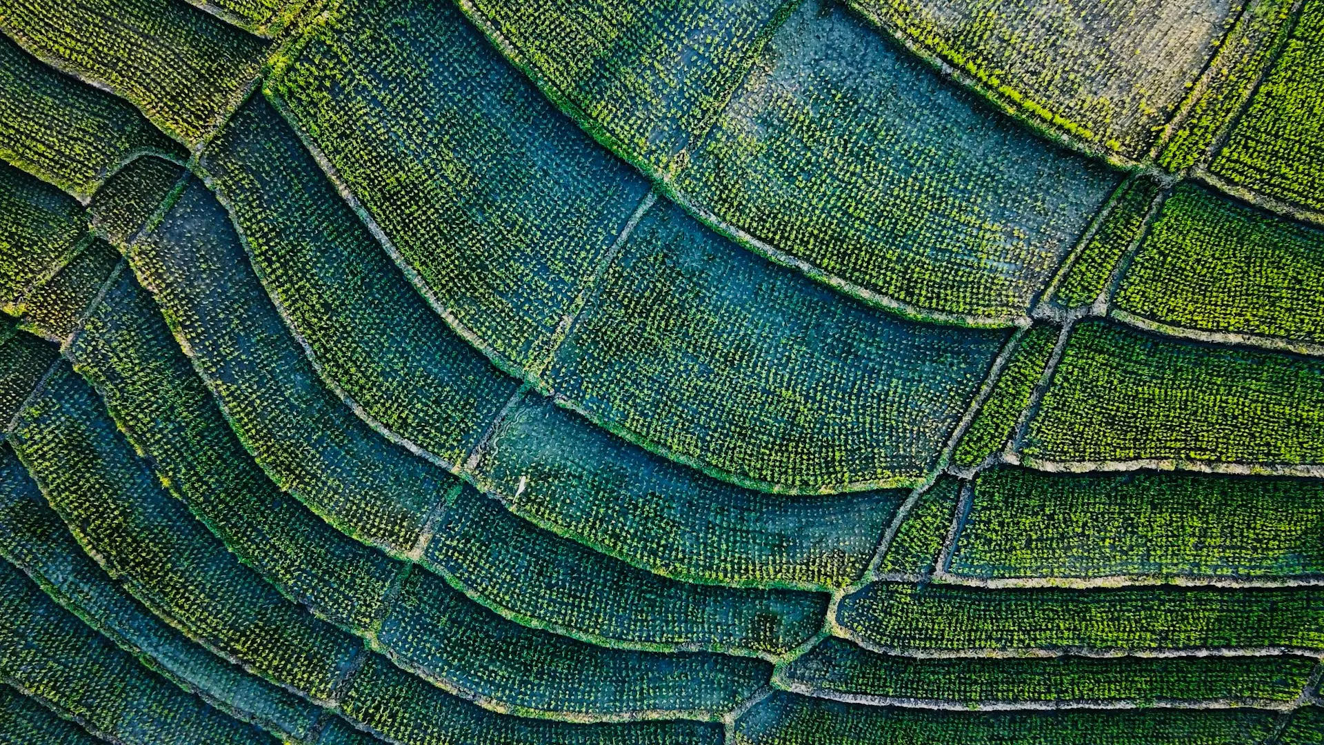 green and black textile in close up photography