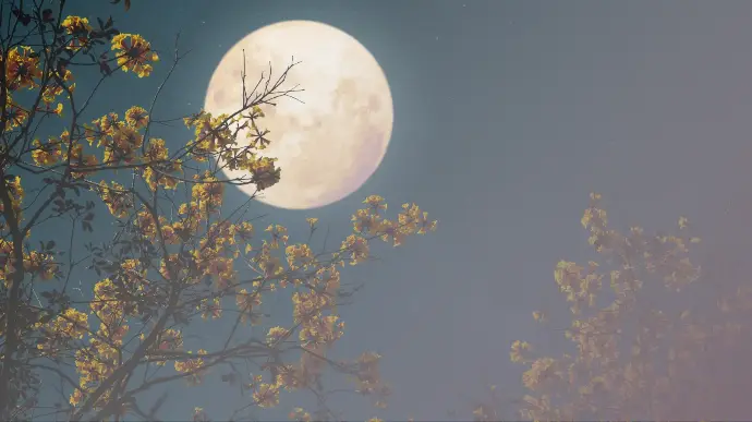 Full Moon Meditation — Purpose of Life